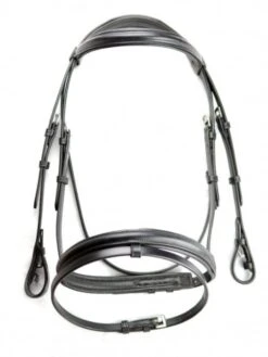 Dever Plain Raised Show Bridle