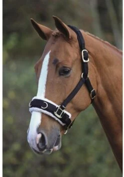 Fleece Lined Lunging Cavesson -Saddle Shop 12396c