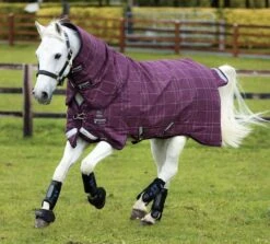 Rhino Pony Plus Medium