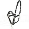 LeMieux Pro-Safe Head Collar -Saddle Shop 12501