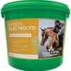 Global Herbs Herbal Electrolyte -Saddle Shop 13692