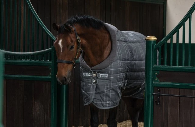 Rhino Original Stable Medium VL 4 Rhino Original Stable Medium VL - Image 2