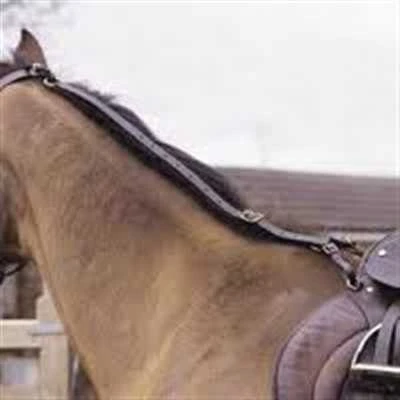 Daisy Rein 3 Daisy Rein