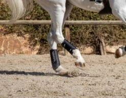 LeMieux Carbon Air XC Boots - Hind -Saddle Shop 14195b