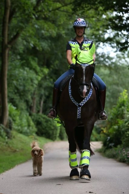 EquiSafety Polite Neck Band 4 EquiSafety Polite Neck Band - Image 2