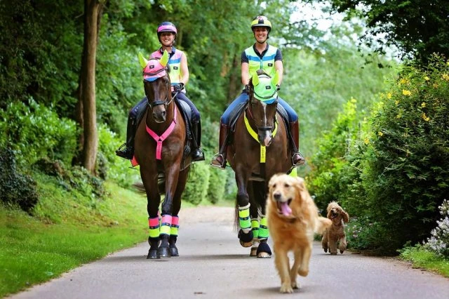 EquiSafety Reflective Neck Band 5 EquiSafety Reflective Neck Band - Image 3