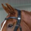 Fairfax Headpiece - Snaffle Bridle -Saddle Shop 14292