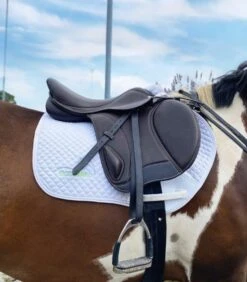 Ecorider Freedom Jump Saddle -Saddle Shop 14433c