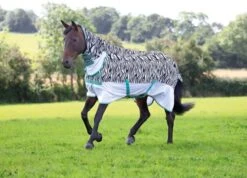 Shires Tempest Original Zeb-Tek Fly Combo