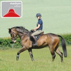 Thorowgood T8 Dressage Moveable Block -Saddle Shop 14662d