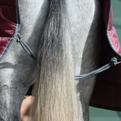 Weatherbeeta Comfitec 210D Channel Quilt Combo Neck Medium -Saddle Shop 15133c