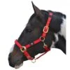 Hy Deluxe Padded Headcollar