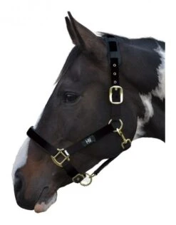Hy Deluxe Padded Headcollar -Saddle Shop 15407c