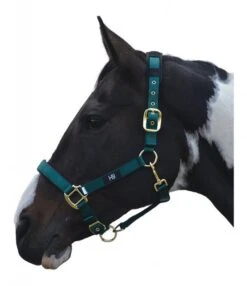Hy Deluxe Padded Headcollar -Saddle Shop 15407d