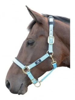 Hy Deluxe Padded Headcollar -Saddle Shop 15407e
