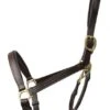 Hy Coldstream Padded Leather Head Collar 1 Hy Coldstream Padded Leather Head Collar -Saddle Shop 15410