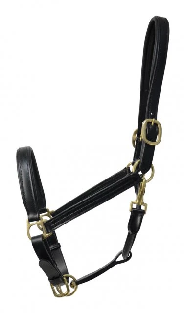 Hy Coldstream Padded Leather Head Collar 4 Hy Coldstream Padded Leather Head Collar - Image 2