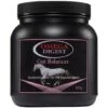 Omega Equine Digest Gut Balancer -Saddle Shop 15456