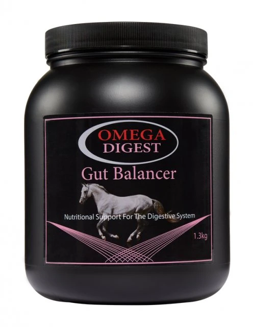 Omega Equine Digest Gut Balancer 4 Omega Equine Digest Gut Balancer - Image 2