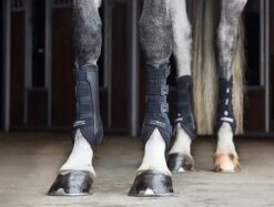 Catago Hybrid Dressage Boot - Black -Saddle Shop 15520b