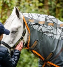 Amigo CamoFly -Saddle Shop 15809c