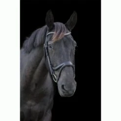 Ecorider Ecosoft Acclaim Bridle -Saddle Shop 16002c