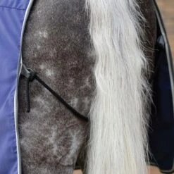 Weatherbeeta Cotton Show Sheet Standard Neck -Saddle Shop 16151d