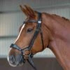 Fairfax Pony Drop Noseband 2 Fairfax Pony Drop Noseband -Saddle Shop 16202