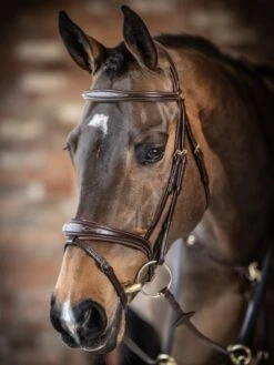 LeMieux Competition Flash Bridle -Saddle Shop 16215d