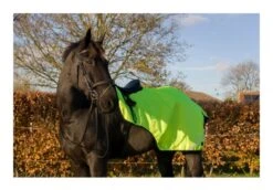 Apollo Air Freeflow Exercise Sheet Hi-Viz