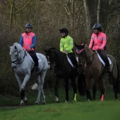 Weatherbeeta Reflective Light Weight Waterproof Jacket -Saddle Shop 16750d