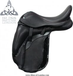 Bliss Paramour Dressage