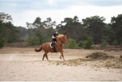 Imperial Riding Free Ride Bareback Pad -Saddle Shop 17149b