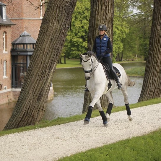 Kentucky Stable Bandage Pad 4 Kentucky Stable Bandage Pad - Image 2