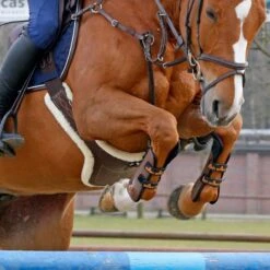 Kentucky Sheepskin Stud Girth -Saddle Shop 17319c