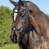 LeMieux Arika Drop Bridle -Saddle Shop 17779