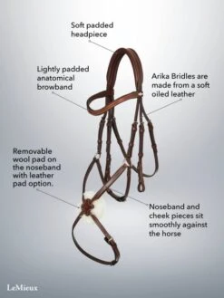LeMieux Arika Grackle Bridle -Saddle Shop 17781d