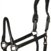 Catago Leather Halter -Saddle Shop 17787
