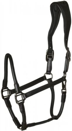 Catago Leather Halter