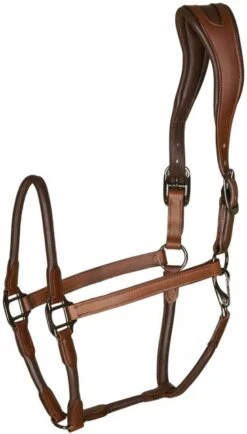 Catago Leather Halter -Saddle Shop 17787c