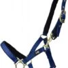Hy Fieldsafe Head Collar -Saddle Shop 17860
