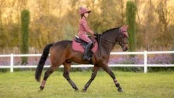 LeMieux Grafter Brushing Boots - Orchid -Saddle Shop 17991c