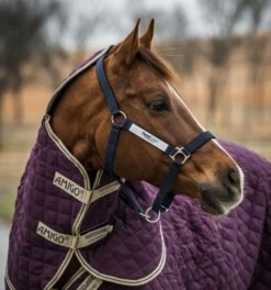 Horseware Fieldsafe Headcollar -Saddle Shop 18029c