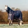 LeMieux Kudos Turnout Rug - 100g -Saddle Shop 18056