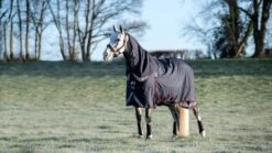 LeMieux Kudos Turnout Rug - 100g -Saddle Shop 18056c