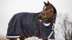 LeMieux Kudos Turnout Rug - 200g 9 LeMieux Kudos Turnout Rug - 200g -Saddle Shop 18250b