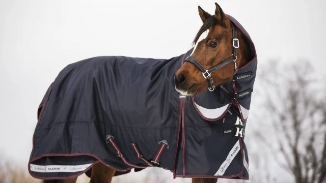 LeMieux Kudos Turnout Rug - 200g 4 LeMieux Kudos Turnout Rug - 200g - Image 2