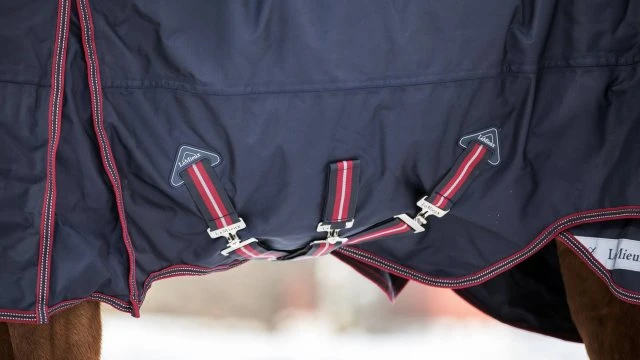 LeMieux Kudos Turnout Rug - 200g 6 LeMieux Kudos Turnout Rug - 200g - Image 4