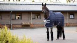 LeMieux Arika Stable-Tek - 200g -Saddle Shop 18251c