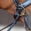 Fairfax Jowl Strap - For Crank Noseband -Saddle Shop 245